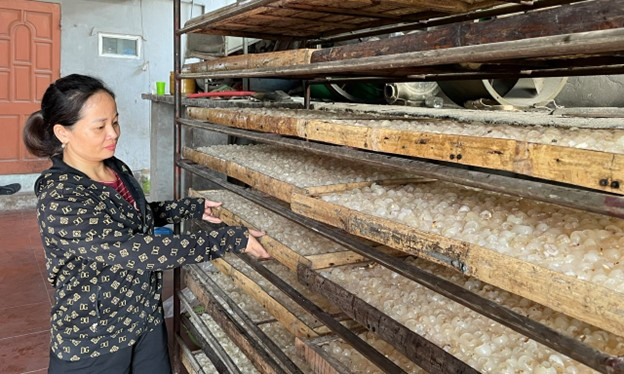 Lò sấy long nhãn