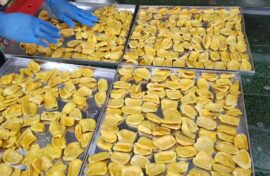 Sấy gia công tại Hà Nội