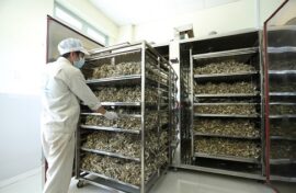 Lò sấy nông sản